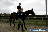 Horses October 2006