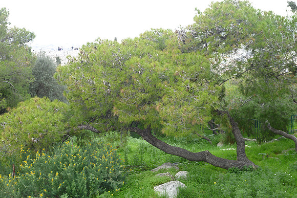 KP Athens 2010-1010734-85