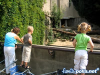 ZOO July 2006