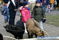 Run & Boerderij 13032005