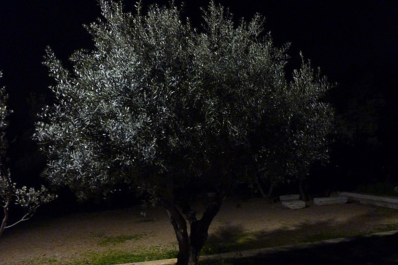 KP Athens 2010-1010533-42