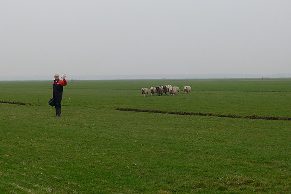 P1000379