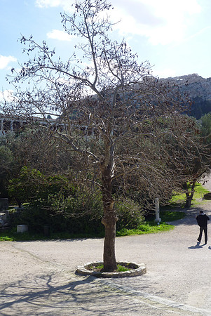 KP Athens 2010-1020019-153
