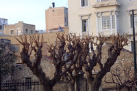KP Athens 2010-1010419-11