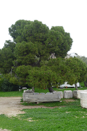 KP Athens 2010-1010780-94