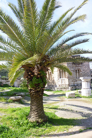 KP Athens 2010-1020055-173