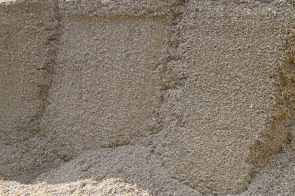 P1000704