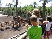 Fuertaventura 2010