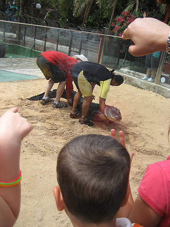 Fuertaventura 2011-33