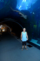 Dubai 2012